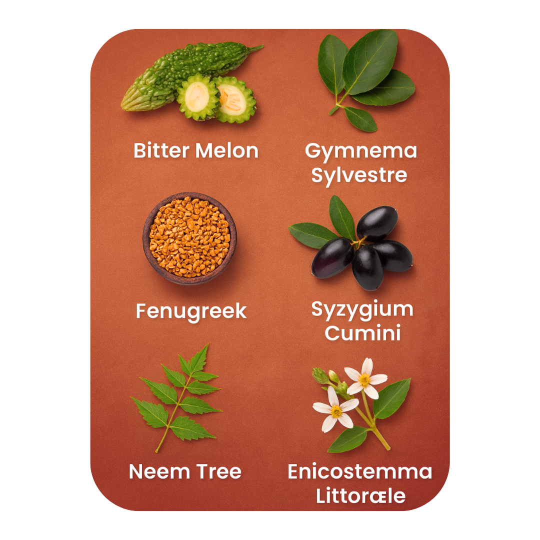 DiaLeaf® – Supports Healthy Blood Sugar Levels Every Day