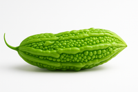 Bitter Melon
