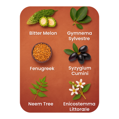 DiaLeaf® – Supports Healthy Blood Sugar Levels Every Day