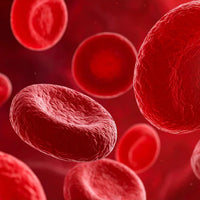 Blood Sugar Support